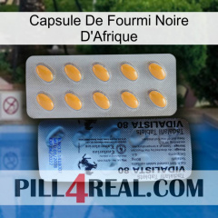 Africa Black Ant Capsule 44